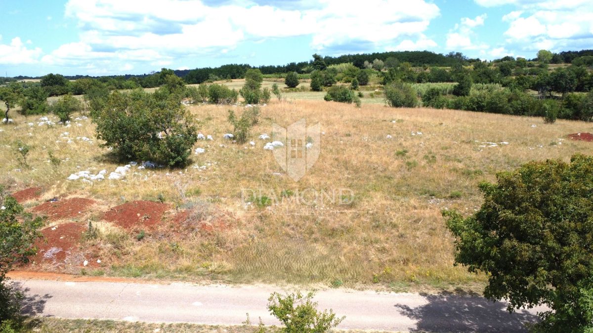 Istra, Oprtalj okolica – zemljišče 9.181 m² z razgledom