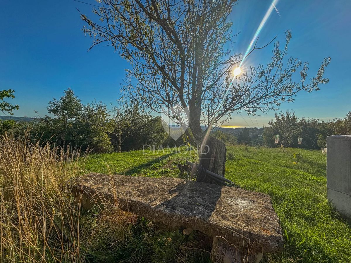 Buje, okolica - samostojna hiša s panoramskim razgledom!