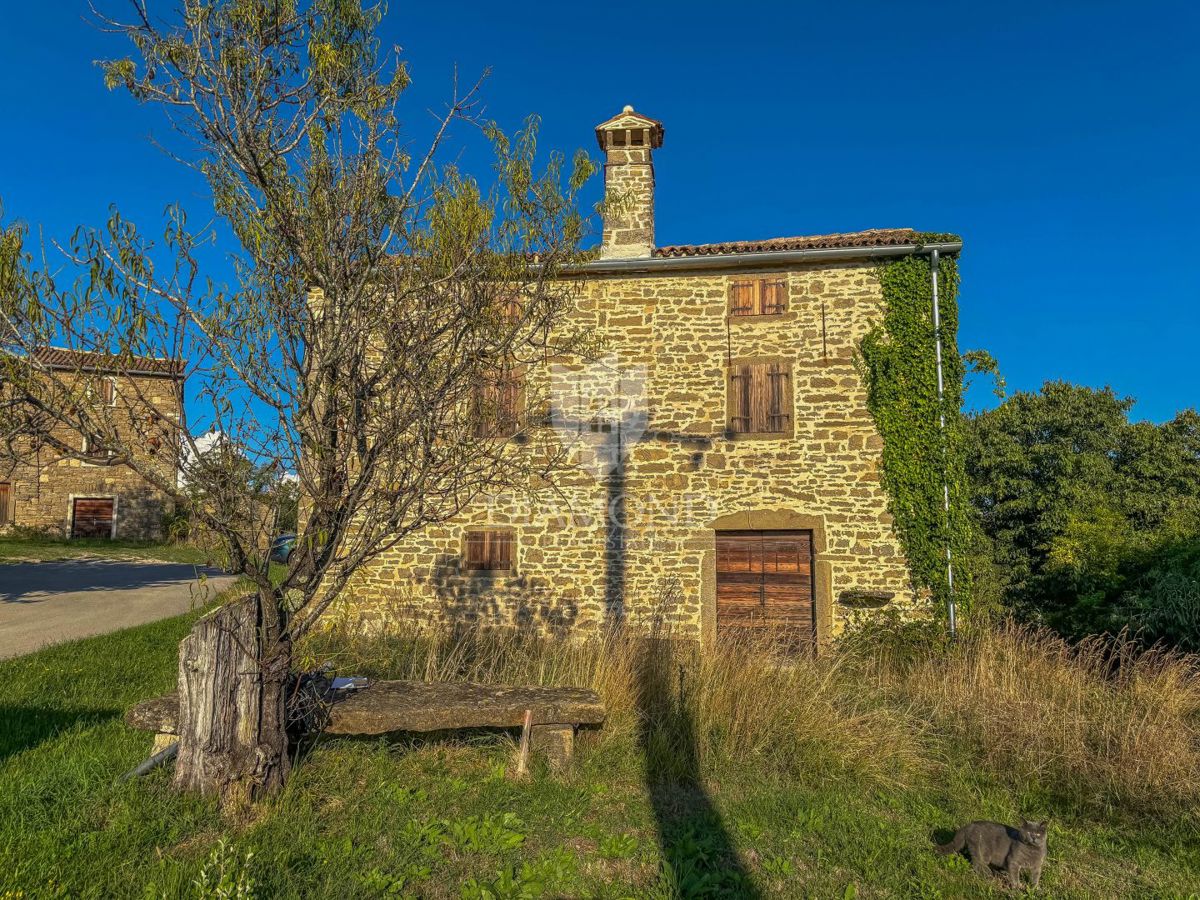 Buje, okolica - samostojna hiša s panoramskim razgledom!