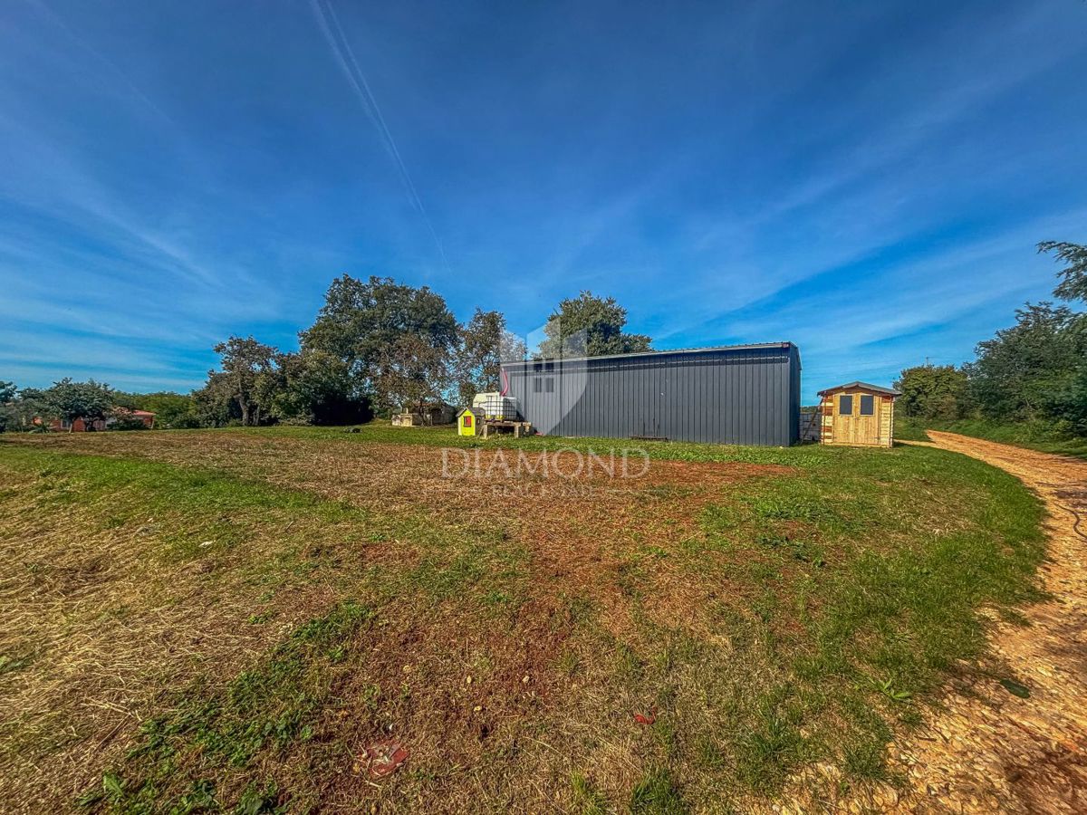 Novigrad, okolica, čudovito gradbeno zemljišče!