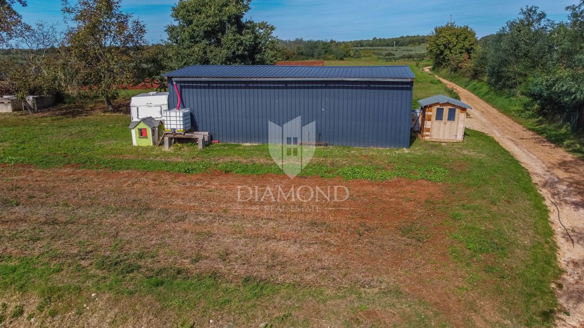 Novigrad, okolica, čudovito gradbeno zemljišče!