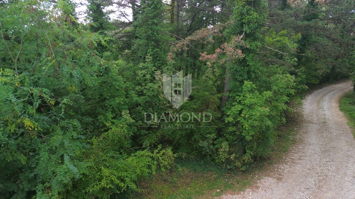 Zemljišče Labin, 2.323m2