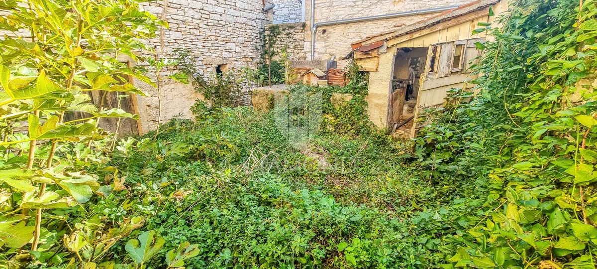 PRILOŽNOST! Bale, kamnita hiša, hlev in vrt v središču