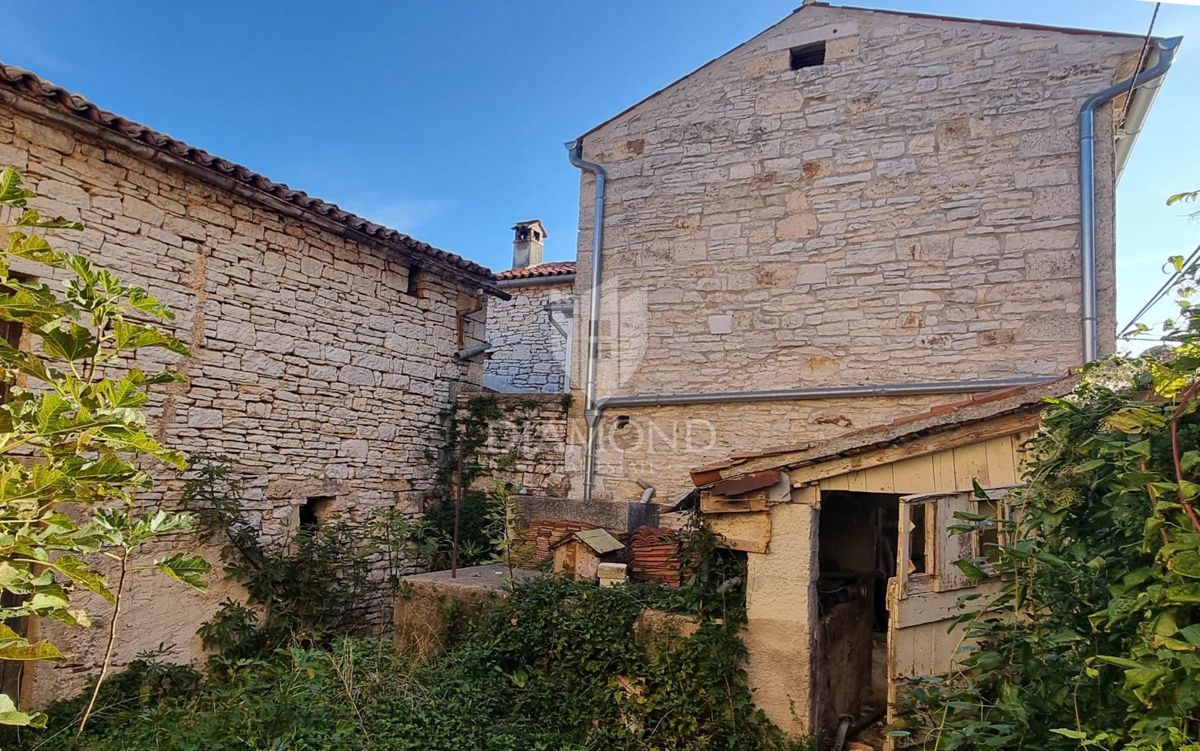 PRILOŽNOST! Bale, kamnita hiša, hlev in vrt v središču