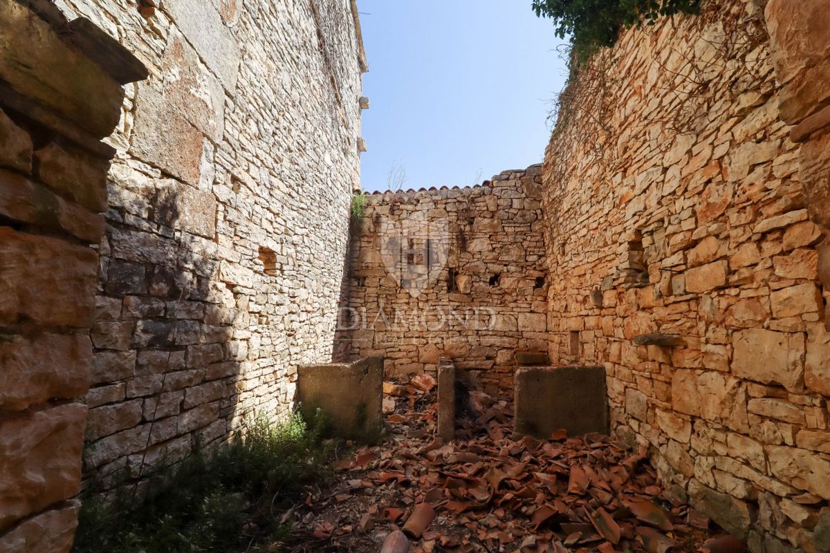 Istrsko posestvo z več kamnitimi hišami in odličnim investicijskim potencialom – območje Vodnjana