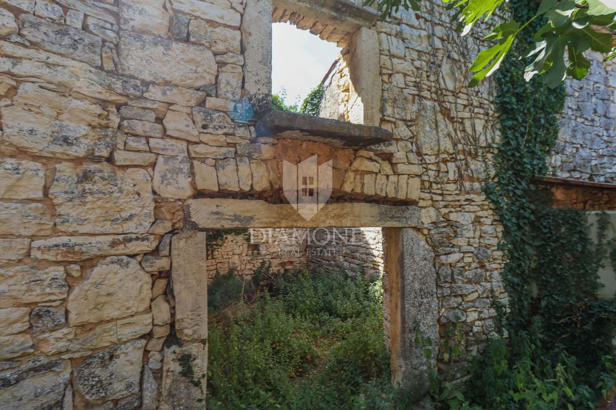 Istrsko posestvo z več kamnitimi hišami in odličnim investicijskim potencialom – območje Vodnjana