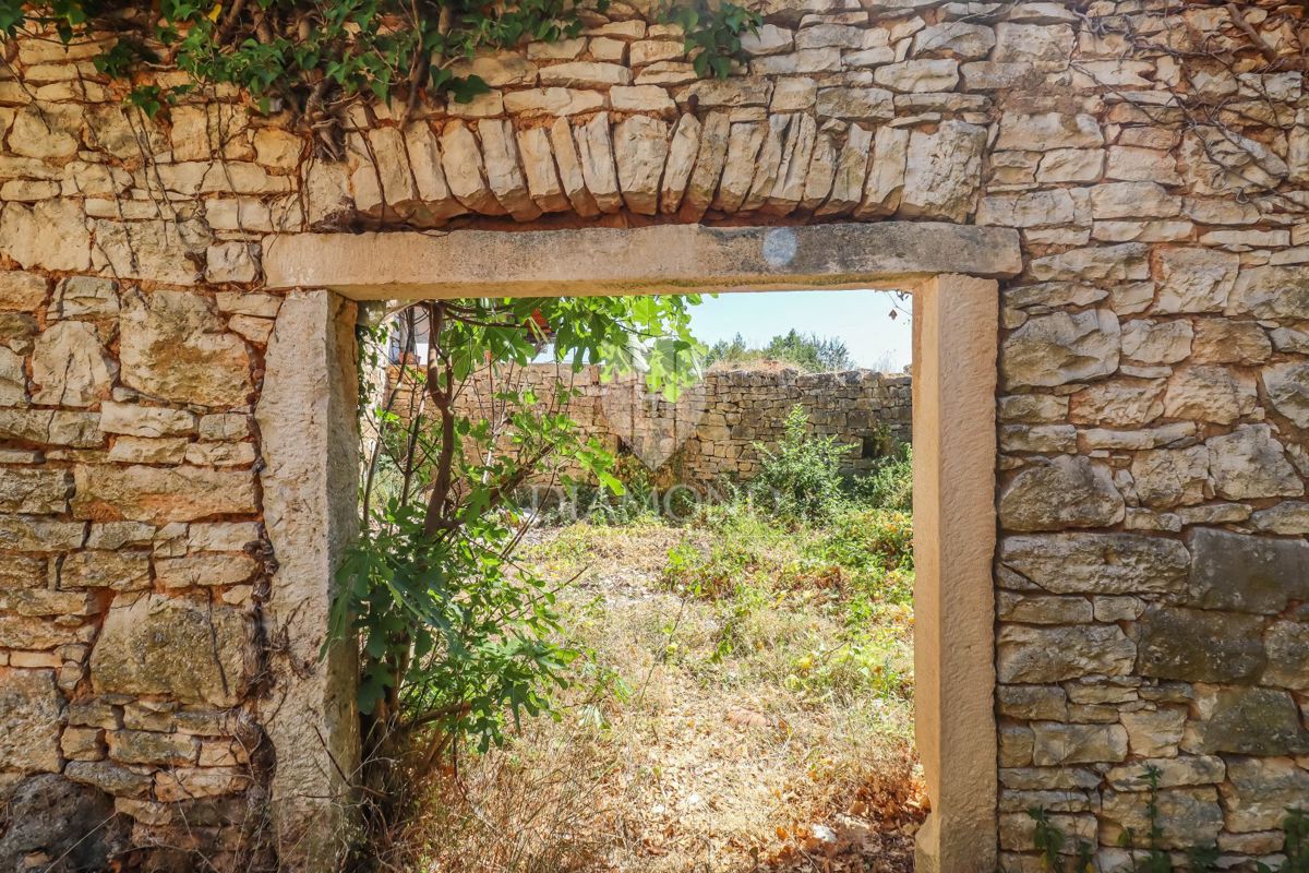Istrsko posestvo z več kamnitimi hišami in odličnim investicijskim potencialom – območje Vodnjana
