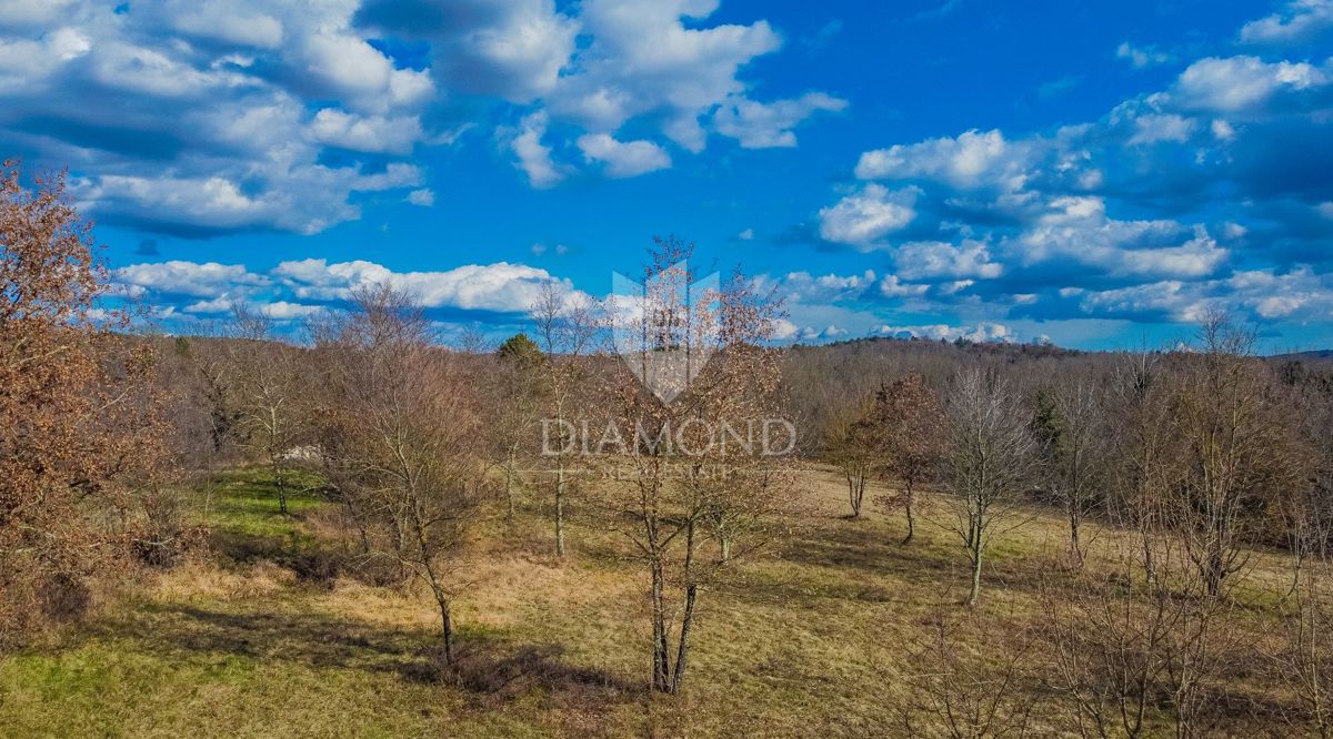 Buje, čudovito zemljišče velikosti 982 m² na mirni lokaciji!