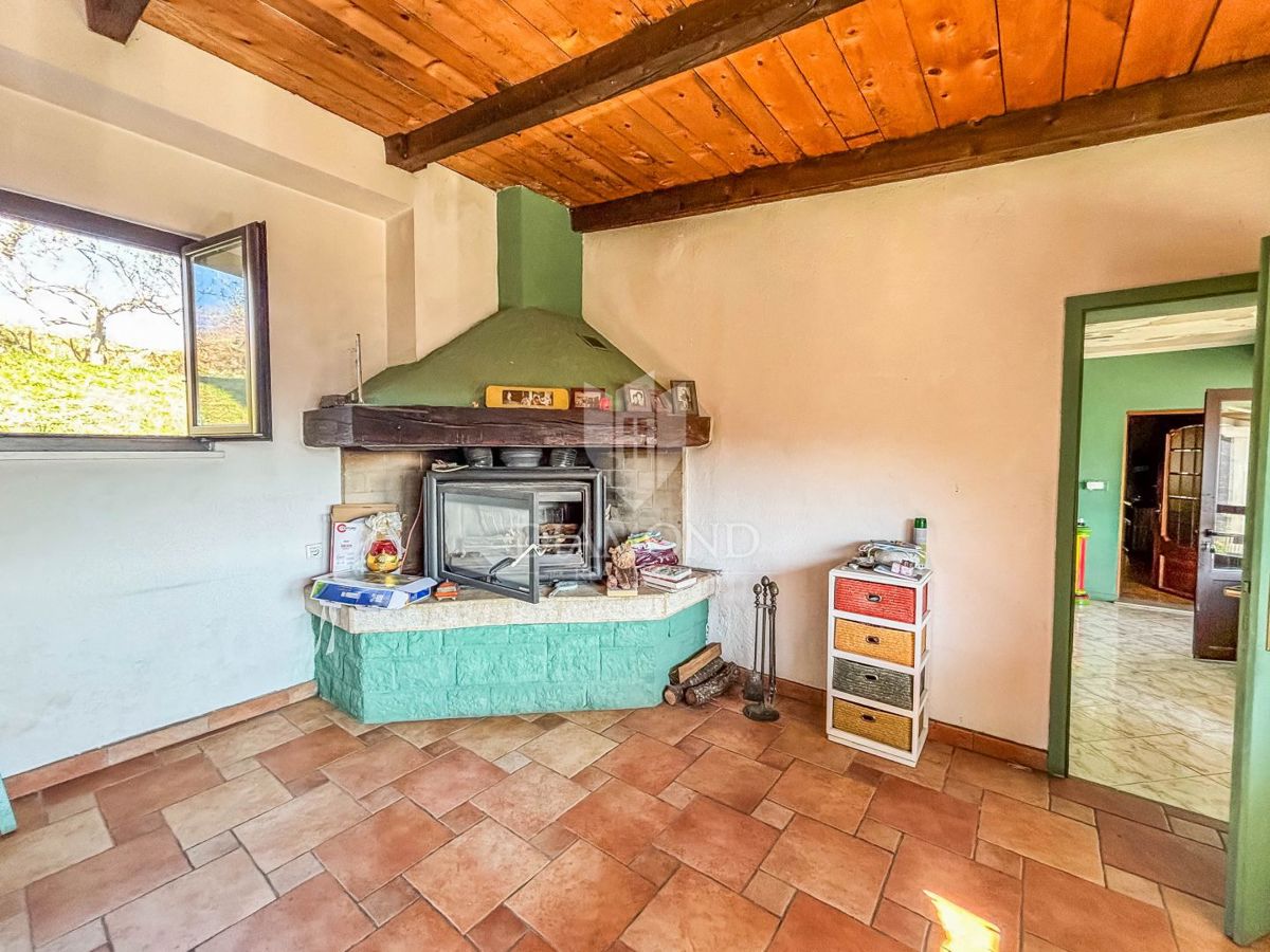 Buje, okolica- simpatična prizemnica na osunčanem zemljišču!