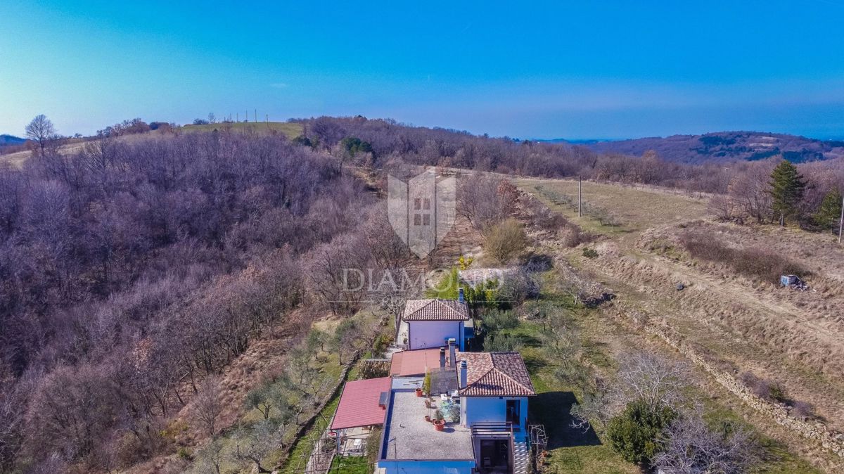 Buje, okolica- simpatična prizemnica na osunčanem zemljišču!