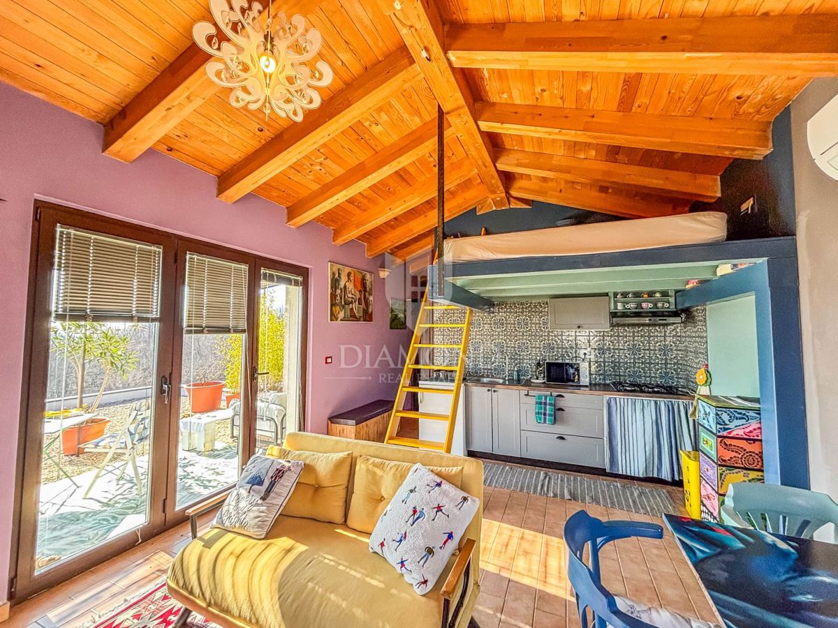 Buje, okolica- simpatična prizemnica na osunčanem zemljišču!