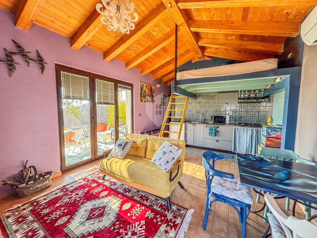 Buje, okolica- simpatična prizemnica na osunčanem zemljišču!