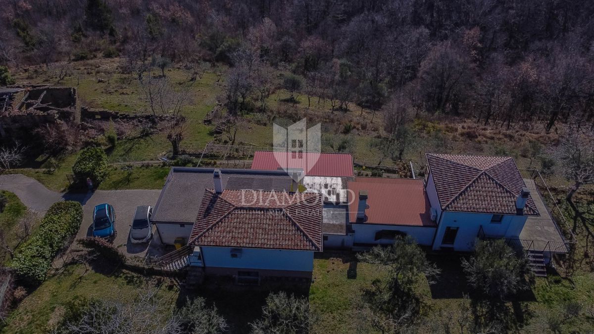 Buje, okolica- simpatična prizemnica na osunčanem zemljišču!