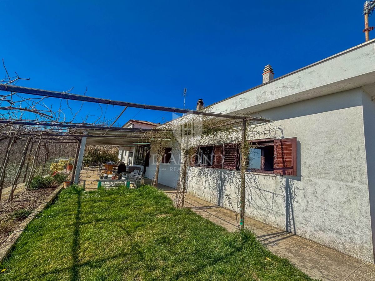 Buje, okolica- simpatična prizemnica na osunčanem zemljišču!