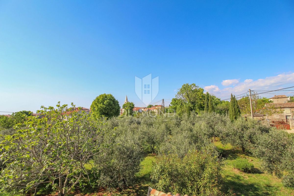 Galižana, hiša z dvema apartmajema in oljčnim nasadom