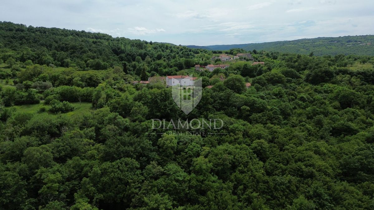Istra Labin, Veliko posestvo s 3 kamnitimi hišami