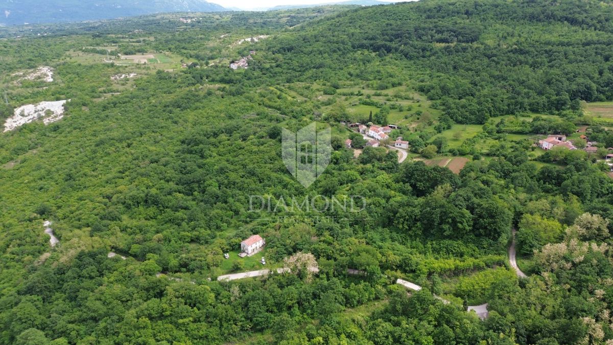 Istra Labin, Veliko posestvo s 3 kamnitimi hišami