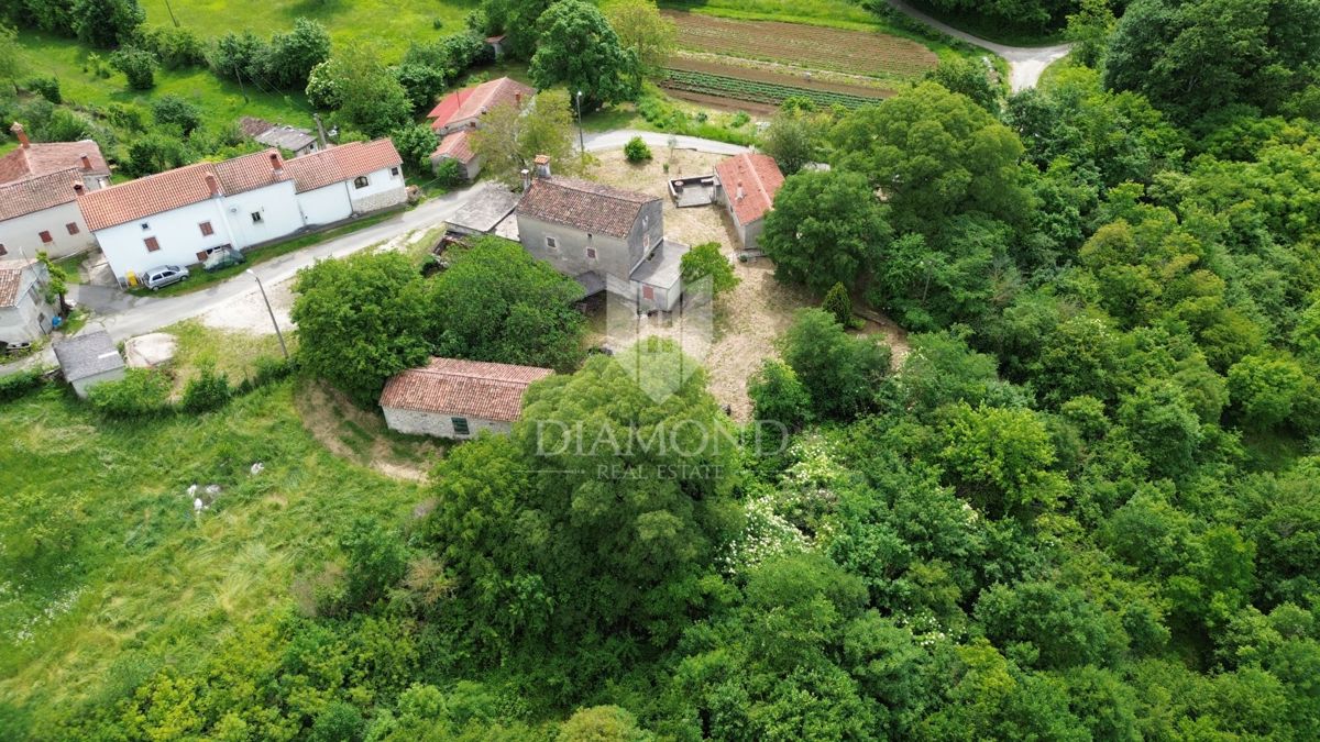 Istra Labin, Veliko posestvo s 3 kamnitimi hišami