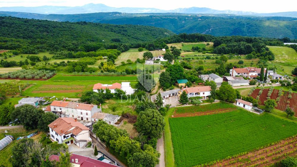 Barban, hiša s potencialom in velikim vrtom! 