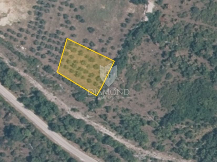 Zemljišče Buje, 1.423m2