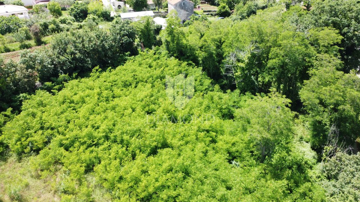 Poreč - okolica - Gradbena parcela 937 m² s projektom in dovoljenjem