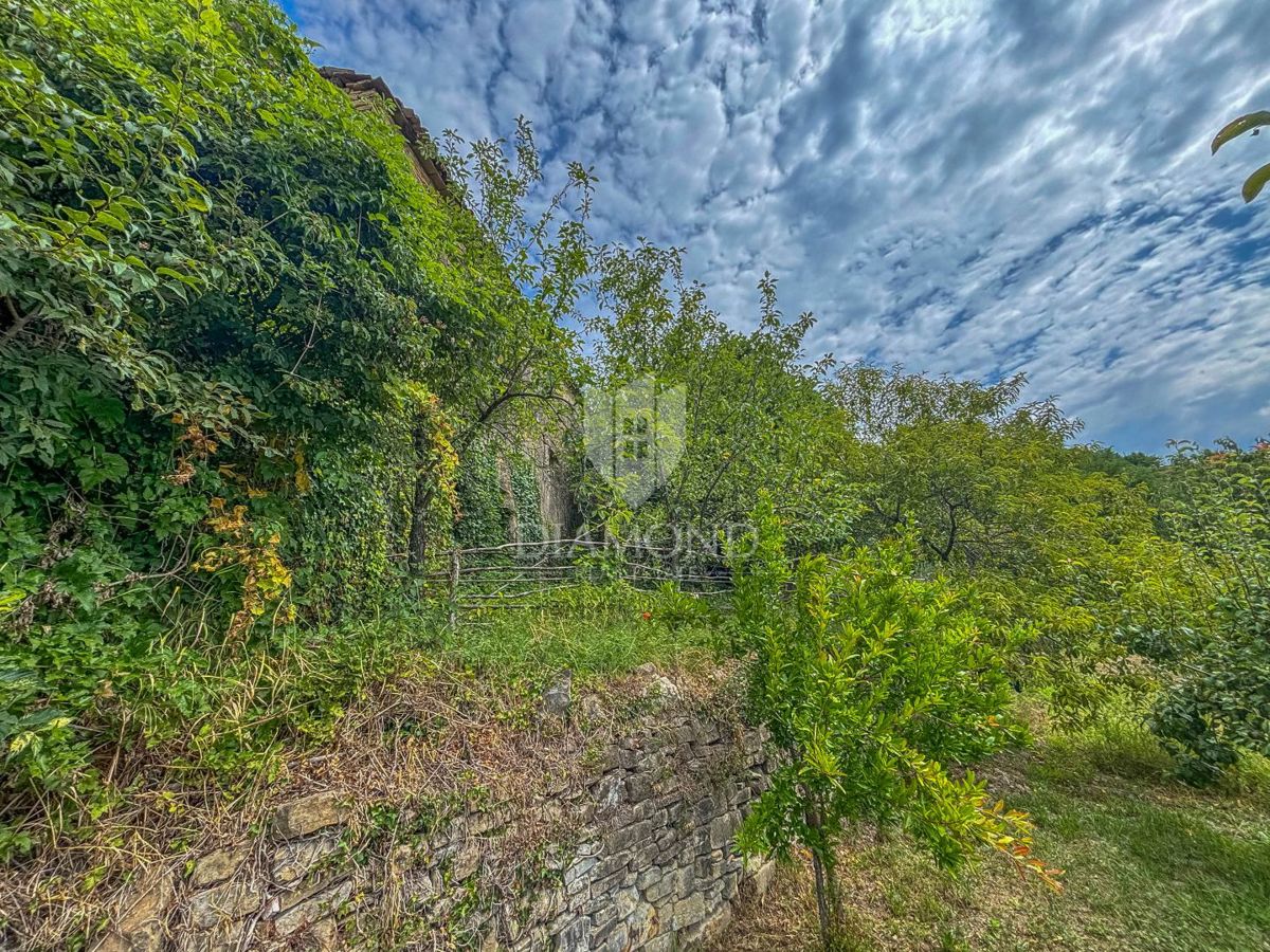 Motovun, okolica - starina z velikim potencialom v srcu Istre