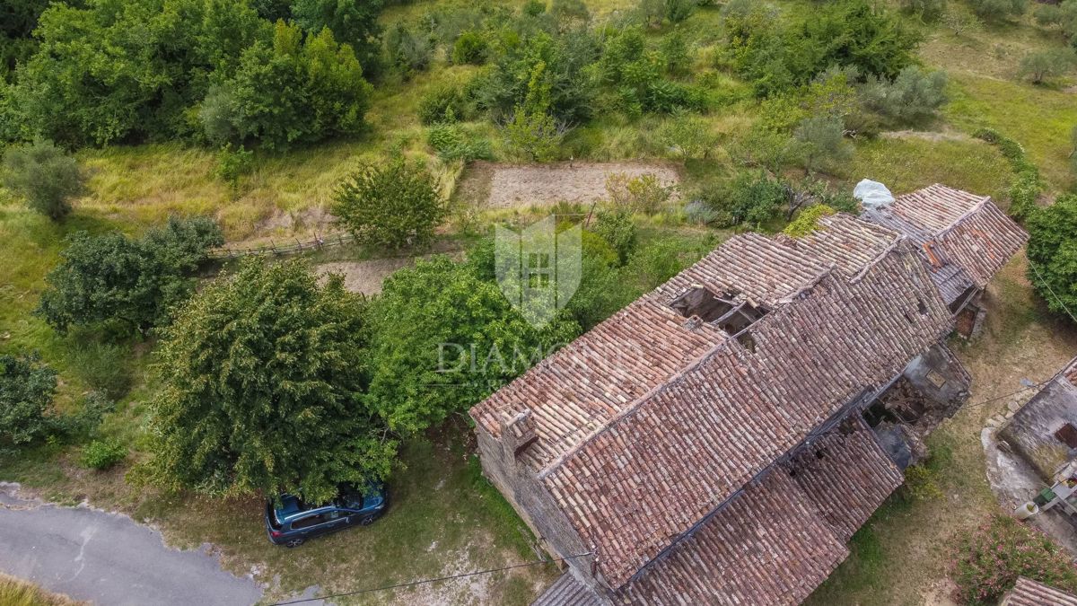 Motovun, okolica - starina z velikim potencialom v srcu Istre