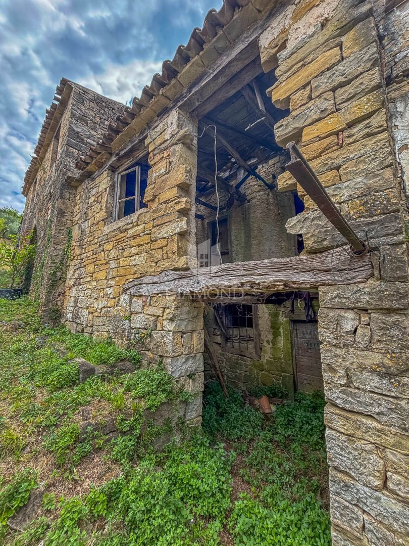 Motovun, okolica - starina z velikim potencialom v srcu Istre
