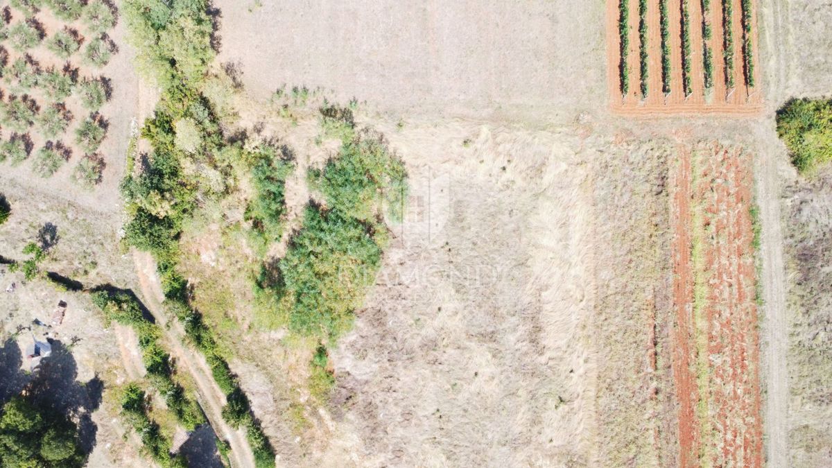 Poreč, okolica – prostorno robno zemljišče samo 6 km od morja