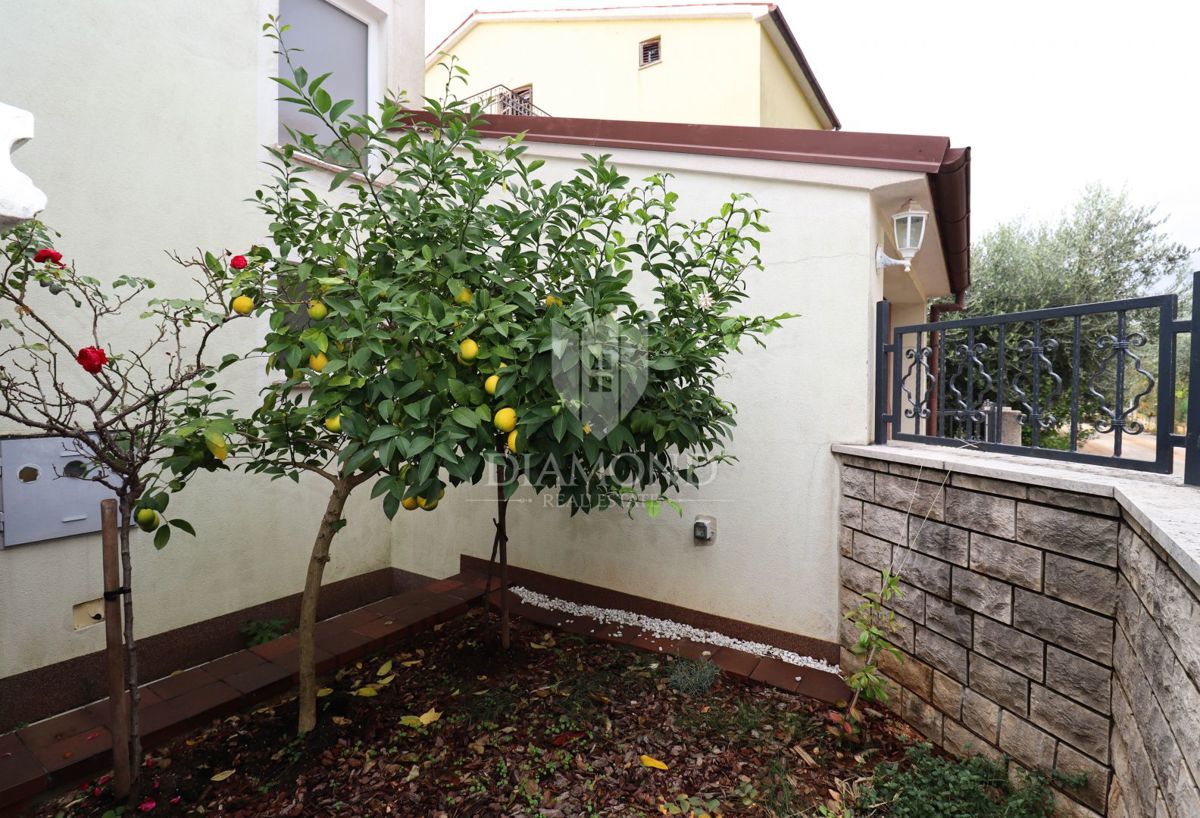 Pulj, Veli Vrh – Prostorna hiša z več stanovanjskimi enotami, garažo in lepim dvoriščem!