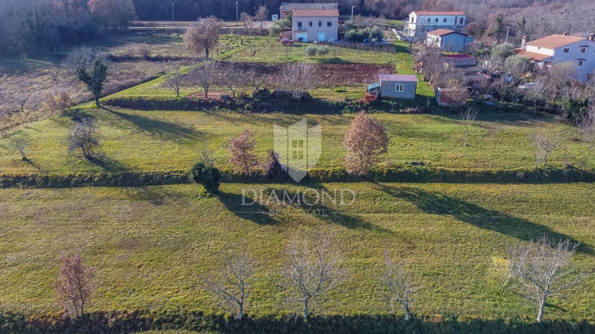 Motovun, okolica, gradbeno zemljišče za vaš dom!