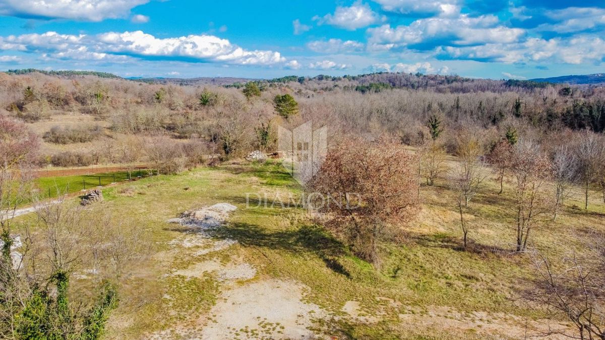 Buje, čudovito zemljišče velikosti 1096 m² na mirni lokaciji!
