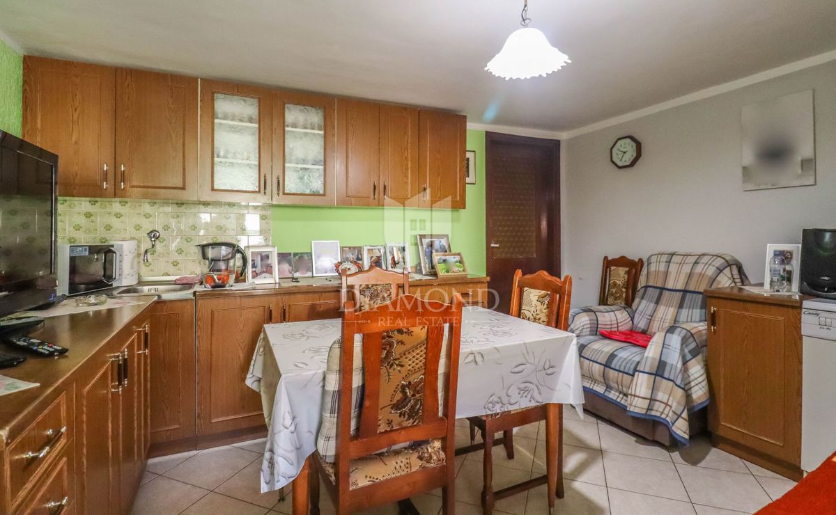 Dve prostorni hiši v bližini Svetvinčenta