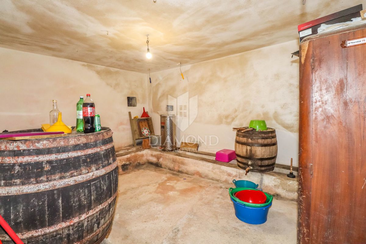 Dve prostorni hiši v bližini Svetvinčenta