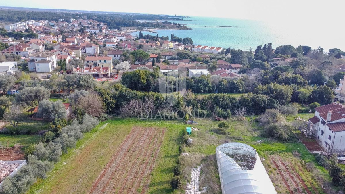 Umag, okolica, zemljišče na odlični lokaciji!