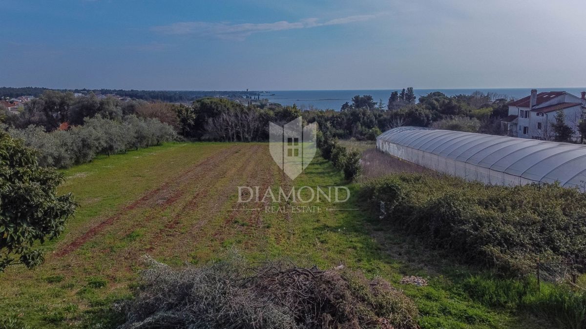 Umag, okolica, zemljišče na odlični lokaciji!