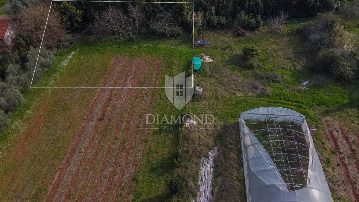 Umag, okolica, zemljišče na odlični lokaciji!