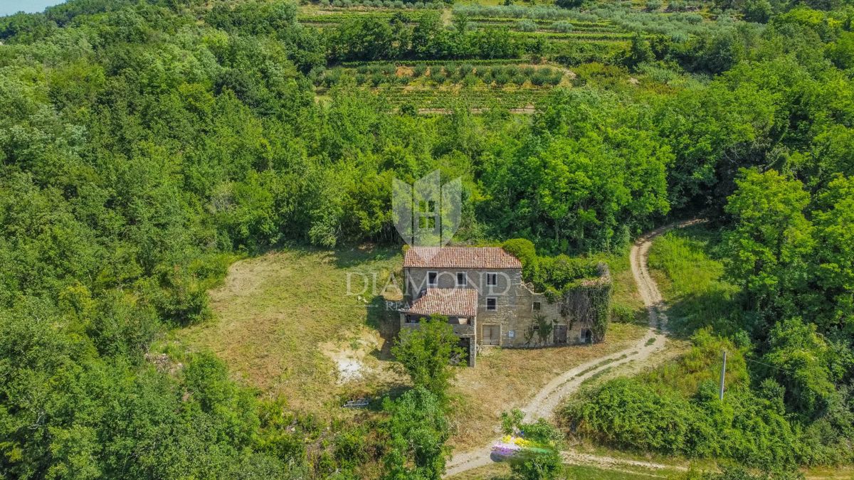 Okolica Motovuna, hiša za adaptacijo v okolju narave