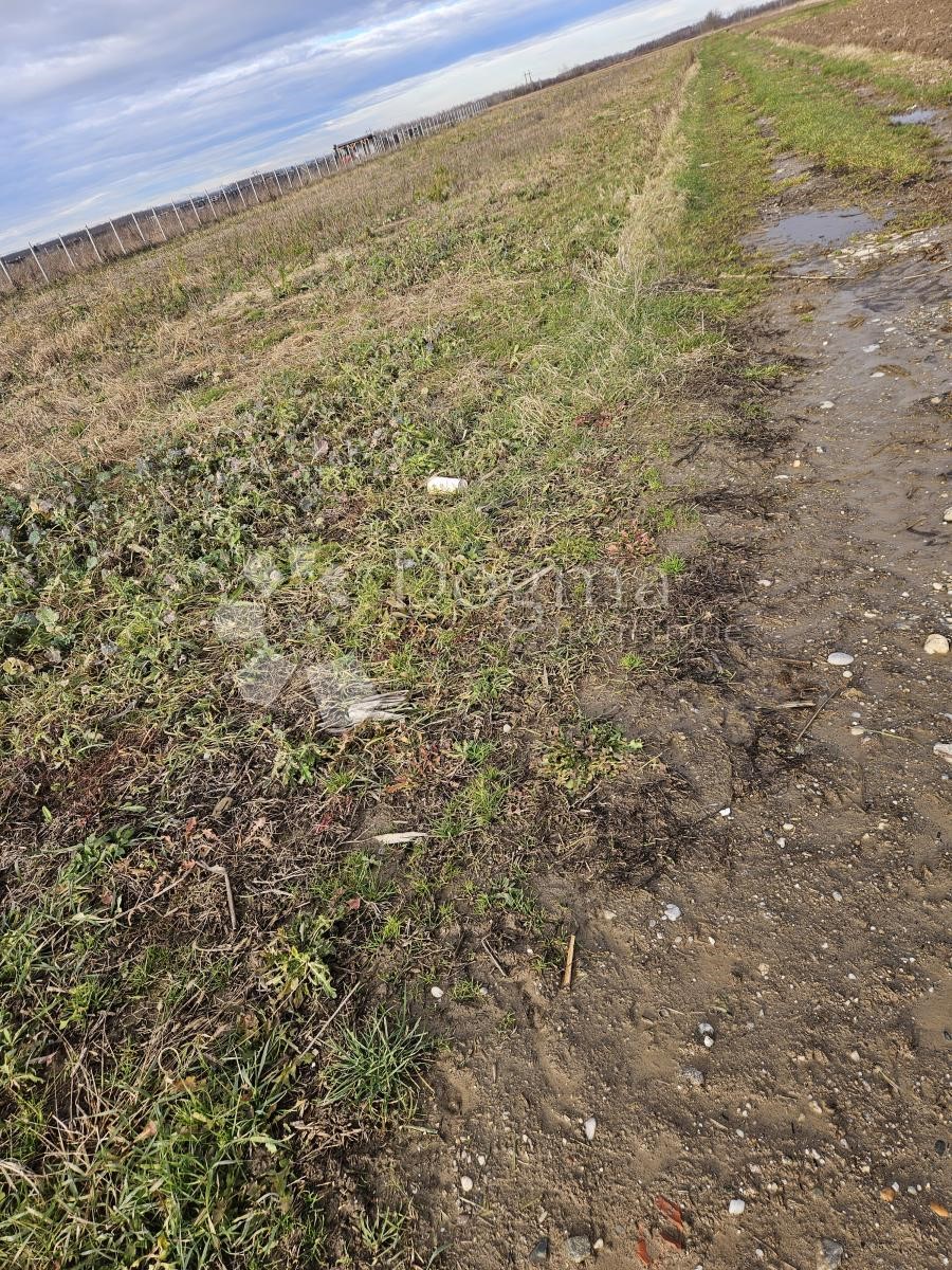 Zemljišče Nova Ves Petrijanečka, Petrijanec, 5.938m2