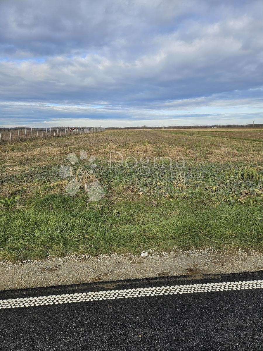 Zemljišče Nova Ves Petrijanečka, Petrijanec, 5.938m2