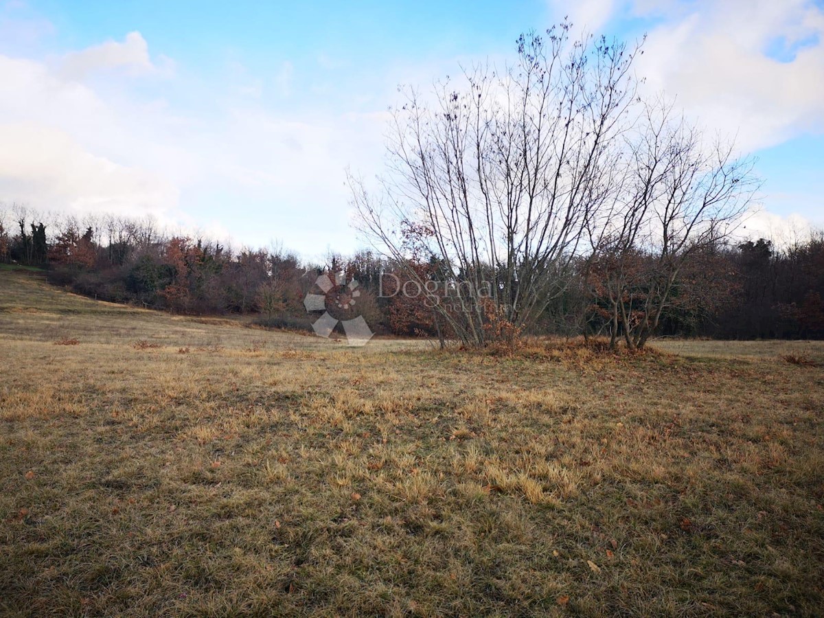 Hiša Lindar, Pazin - Okolica, 360m2