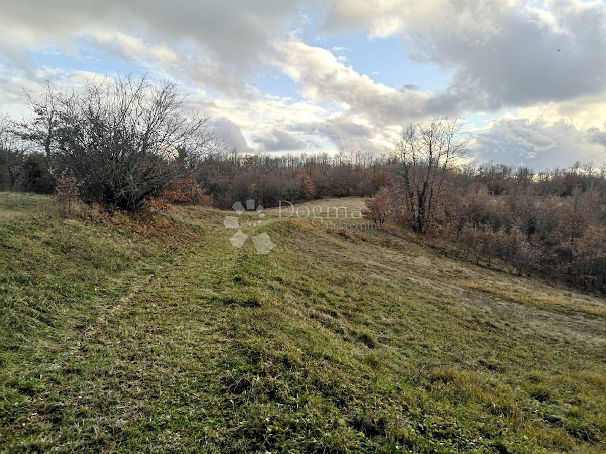 Hiša Lindar, Pazin - Okolica, 360m2