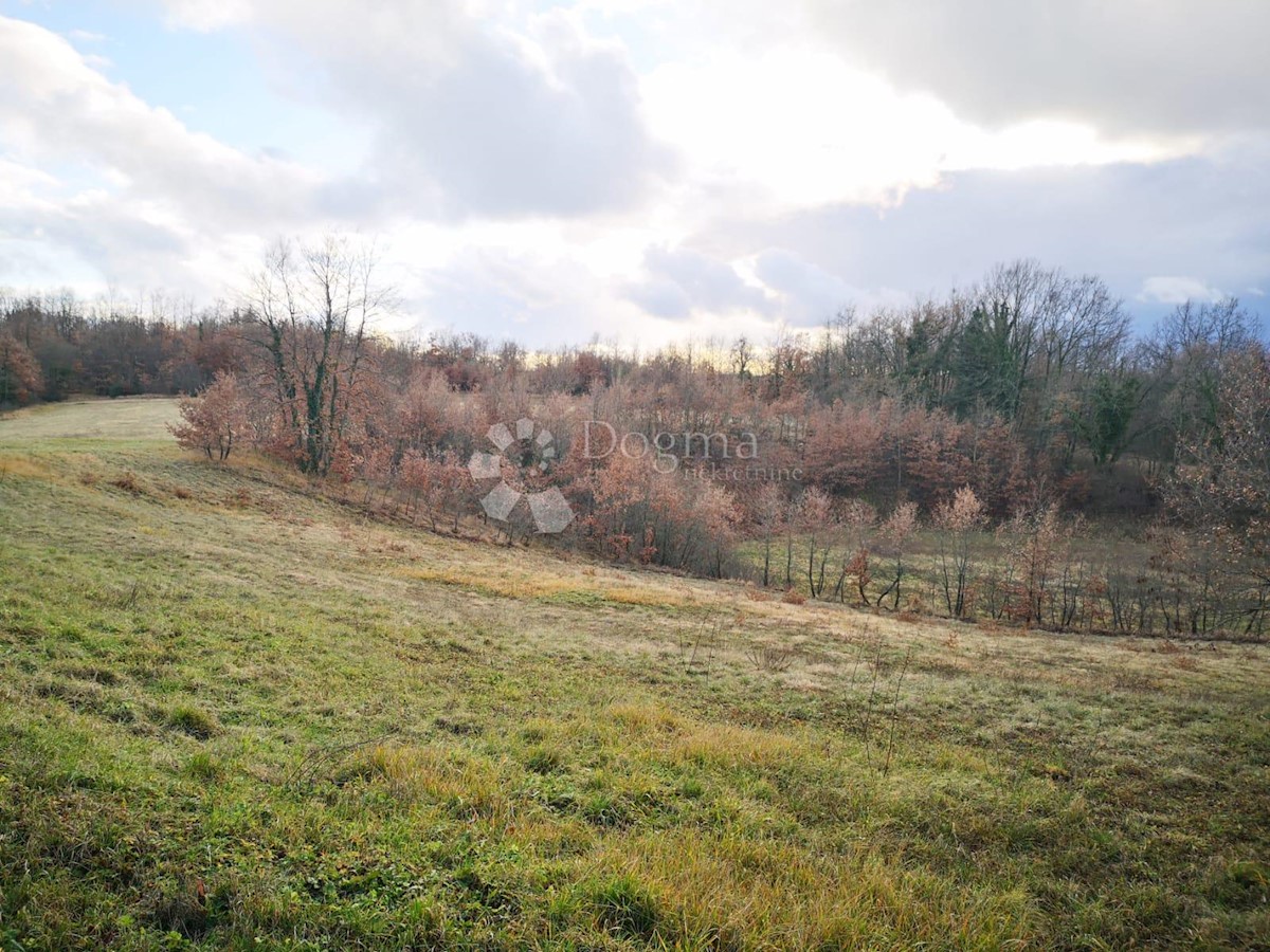 Hiša Lindar, Pazin - Okolica, 360m2