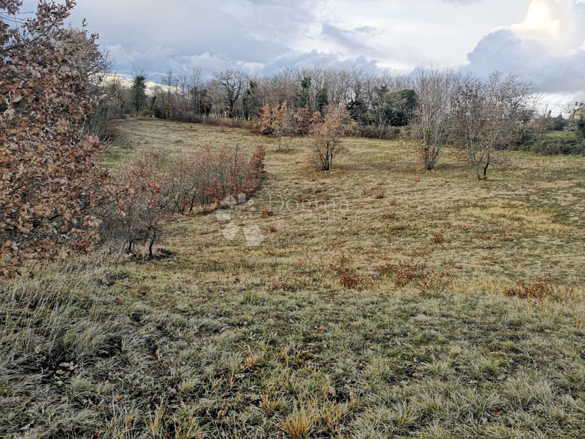 Hiša Lindar, Pazin - Okolica, 360m2