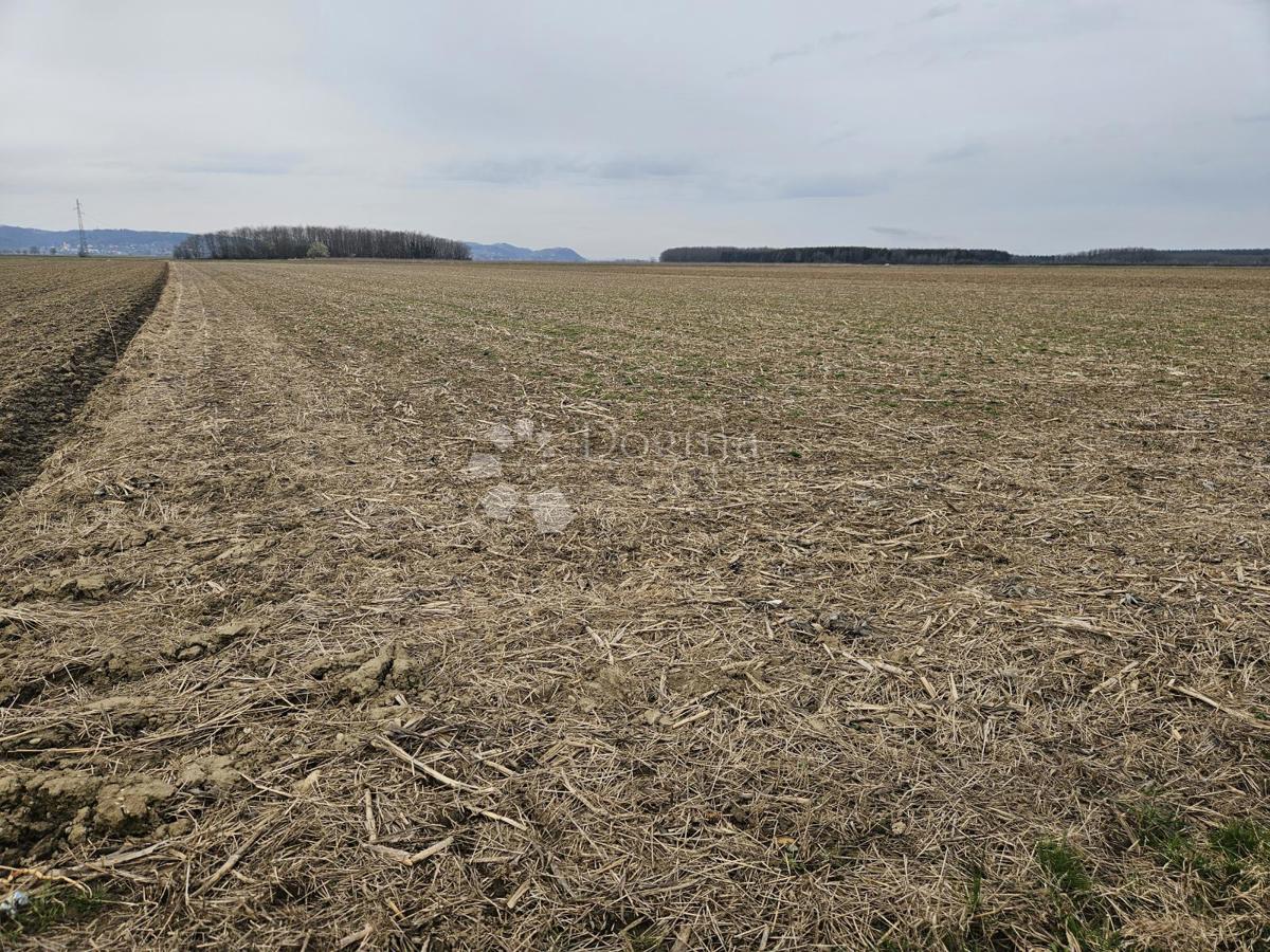 Zemljišče Nova Ves Petrijanečka, Petrijanec, 13.471m2