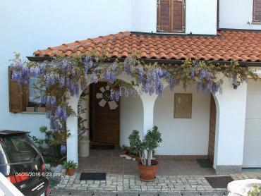 Hiša Kostrena, 330m2