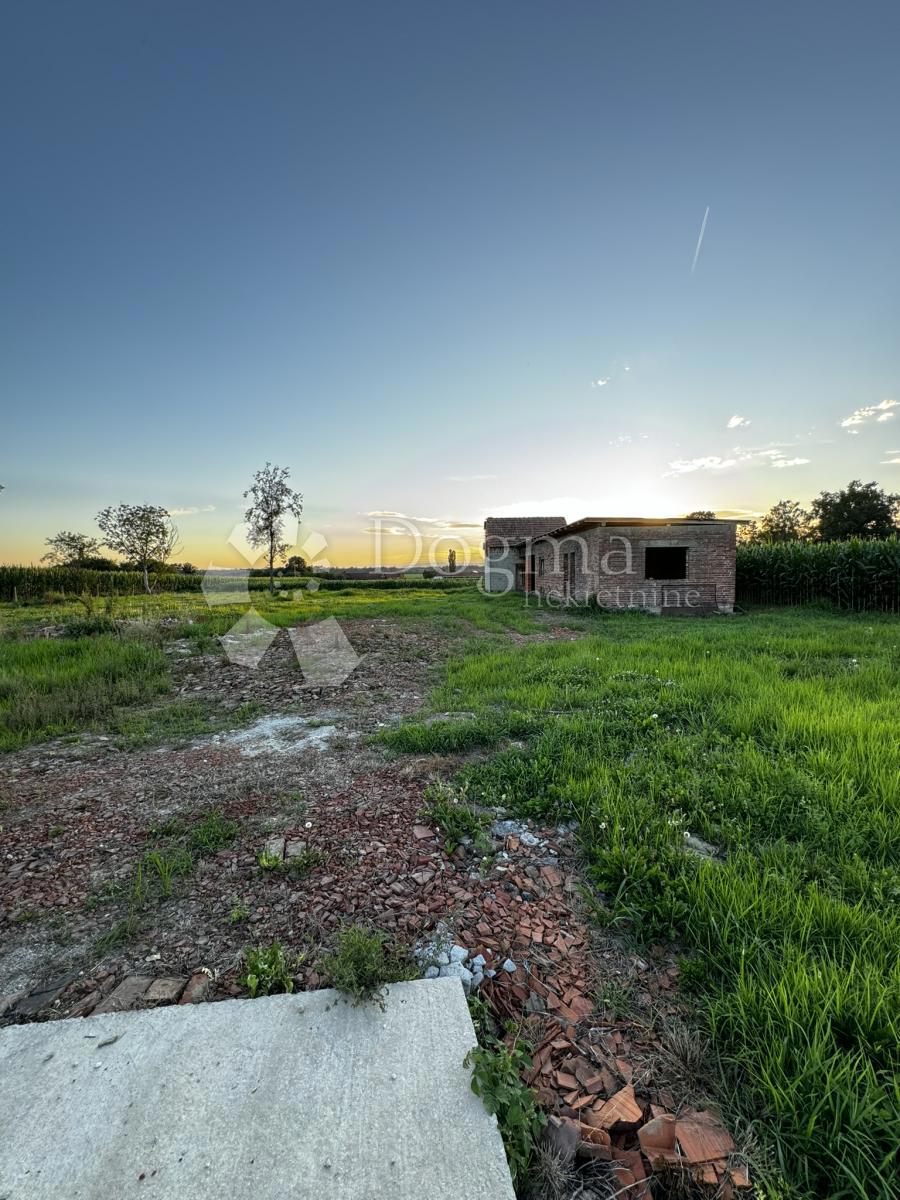 Zemljišče Koritna, Dubrava, 5.066m2