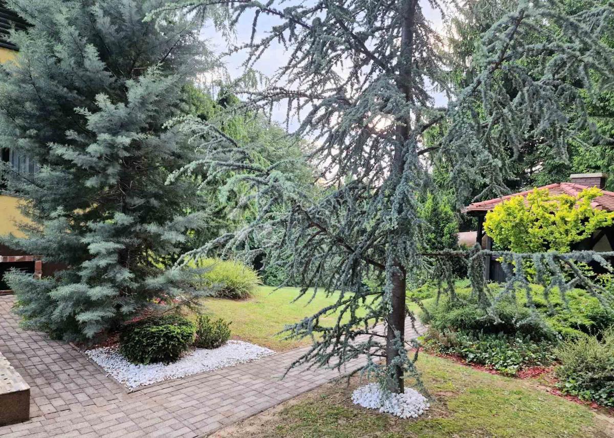 Hiša Kaštelanec, Jalžabet, 86m2