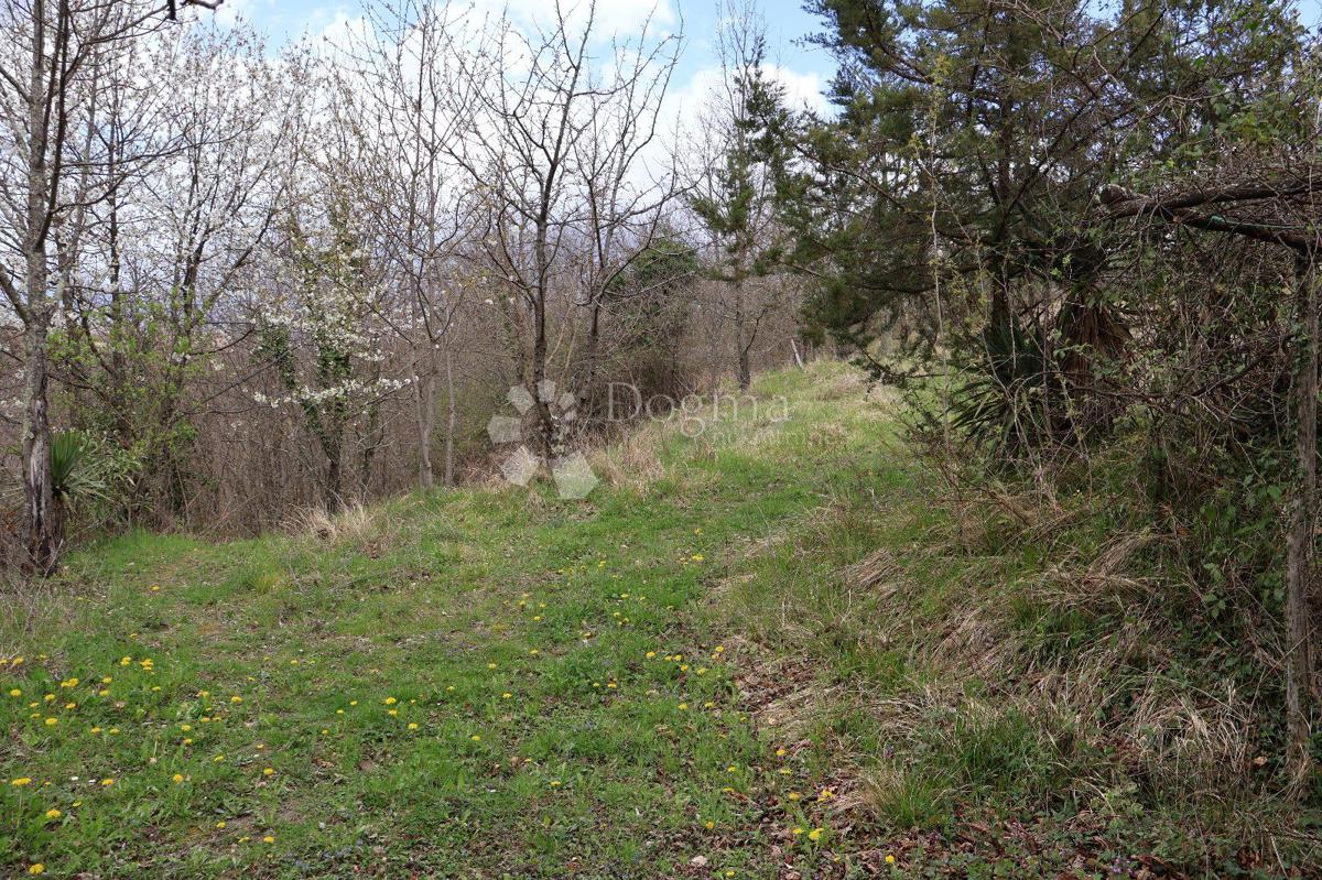 Senzacionalno zemljišče velikosti 115.000 m² v Istri 
