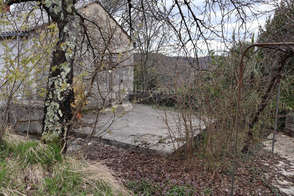 Senzacionalno zemljišče velikosti 115.000 m² v Istri 